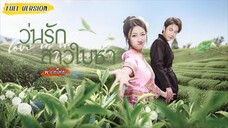 [พากย์ไทย] ทุ่มเทขายชาหาเงินส่งแฟนเรียน☕สุดท้ายเขากลับทิ้งฉันไป! เลยหันไปแต่งกับเจ้าพ่อคนโหดแทน😏🔥