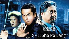 🇭🇰  殺破狼  SPL: Sha Po Lang (a.k.a. Kill Zone)  (2005)