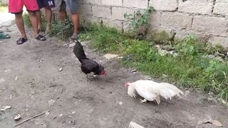 win second win