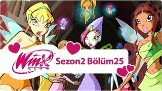 Winx Club - Sezon 2 Bölüm 25 - Düşmanla Karşı Karşıya