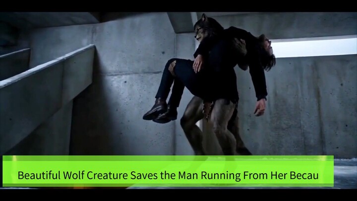 Beautiful Wolf Creature Saves the Man Running From Her Because She Needed What Was Inside Him
