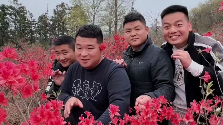 The rhododendrons are in bloom! Four elder brothers invite everyone to come admire the flowers.