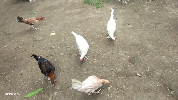 sarap sa tingnan😍