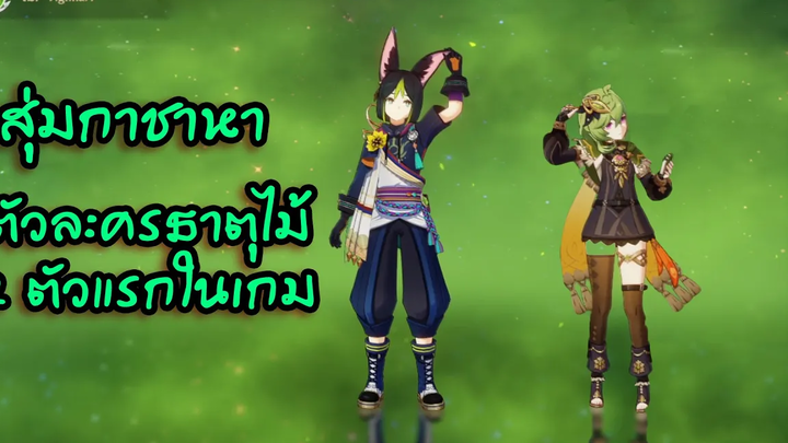สุ่มกาชาหา Tighnari และ Collei Genshin impact