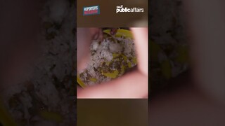 Toyo at asin, pantawid-gutom ng pamilyang may 15 na anak! #shorts | Reporter’s Notebook