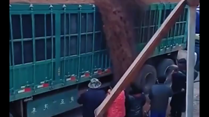 This height limit is awesome—great for families, so everyone can eat their fill!