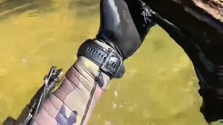 “ไม้แห่งรักในฝัน”