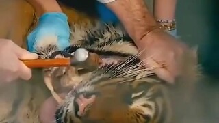 Pekerjaan  sepele tapi bahaya