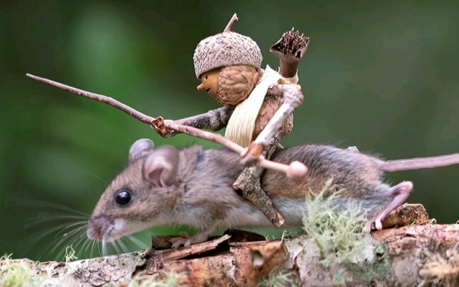 “Gunakan properti dan hewan untuk menciptakan momen menyembuhkan”