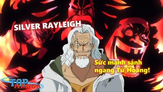 Vua Bóng Tối SILVER RAYLEIGH: Sức mạnh sánh ngang Tứ Hoàng! #videohaynhat