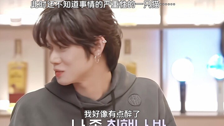 [Choi Yeon-jun] The drunken little cat is just too cute…