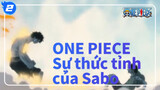 [Đảo hải tặc One Piece] Sự thức tỉnh của Sabo_2