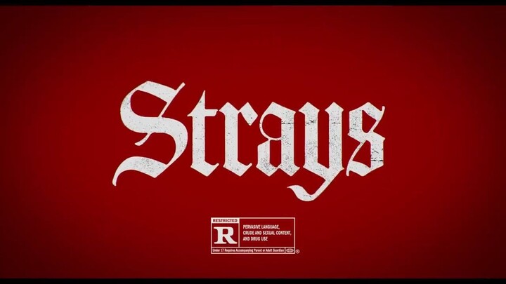 Watch the full STRAYS movie for FREE.the  link in the description.