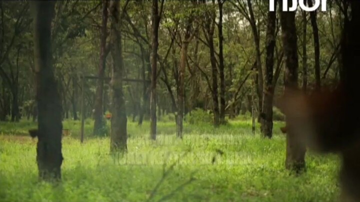 budak Johor full movie