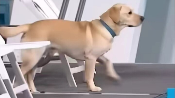 Các học sinh khác nhau trong mắt giáo viên