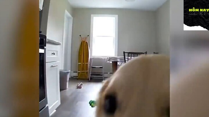 Cười mỗi ngày cùng tôi ! #videohaihuoc