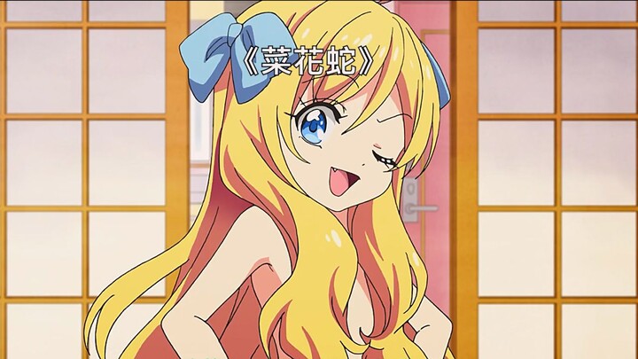 Rắn hoa cải thực ra chẳng “yếu” chút nào, chỉ là tình cờ đụng phải loài người mạnh hơn nó một chút m