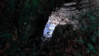 【Hao Lei】【Yu Huai|Li Cu】Secret