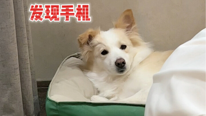 Chen Bella Got Spied On Before Bed