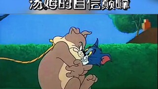 Sự tự tin của Tom lên đến đỉnh điểm