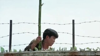 这八字也太硬了。