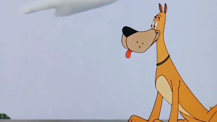 Have you ever seen a dog this hardcore? What on earth could have made it bury the moon?