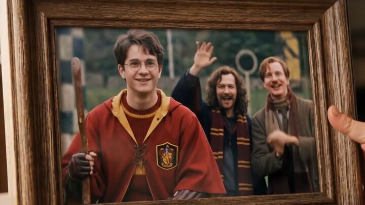 What if Harry Potter had been raised by Sirius Black and Remus Lupin?