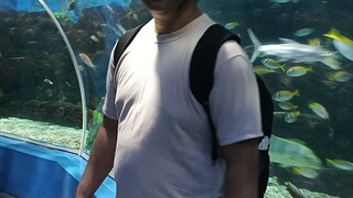 oceana