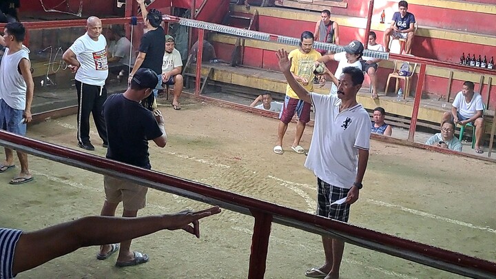 1st fyt regular grey win ,   3 wins tnx lady luck