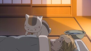 Guru Neko selalu melindungi Natsume.