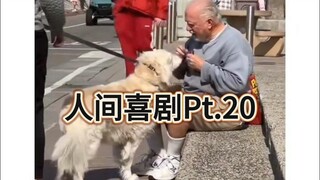 人间喜剧Pt.20 退休计划：随机喂路过的狗狗☺