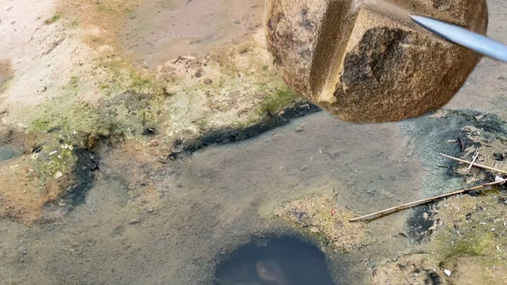 Old Man went to the riverbank today and was stunned—his shiitake‑mushroom rock was gone, swept away 