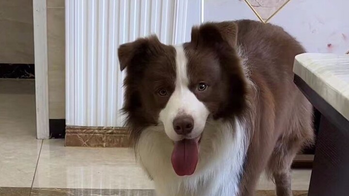 คุณระดับไหนถึงกล้าเห่าเหมือนหมาใส่ฉันแบบนี้?