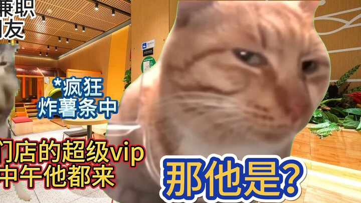 [Cat meme] "Mối liên kết giữa người sành ăn và chủ cửa hàng"｜Việc làm bán thời gian｜McDonald's｜Cảm đ