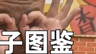 Enchanting Men's Guide