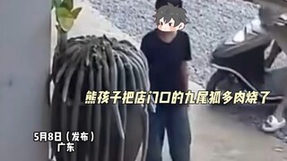女子养了6年的九尾狐多肉被熊孩子烧了，让对方给自己再买一盆 家长道歉坚持赔偿500块钱，“孩子妈妈说他犯错了就要知道后果 让孩子长记性 自己找亲戚借钱赔偿