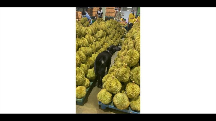 น่าหม่ำ