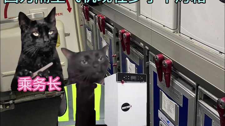 Safety Officer: Are you saying my meal and the oven both took off together?