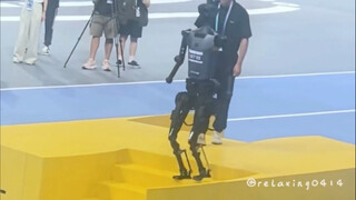 Interesting robots