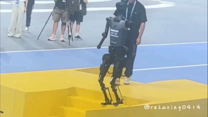 الروبوتات الممتعة