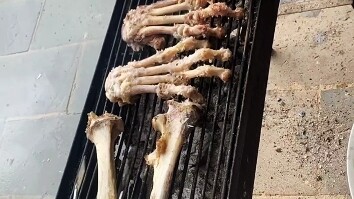 “Ẩm thực thường ngày” 1.0
