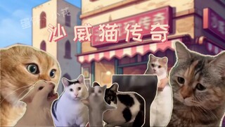 ⚡️ The Legendary Sha Wei Cat ⚡️