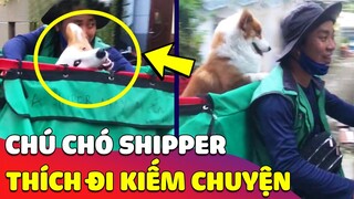 Khi Shipper 'GIAO HÀNG' gặp được chú chó nhiệt tình làm 'TRỢ THỦ ĐẮC LỰC' 😅 Gâu Đần