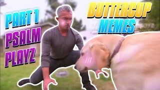 Buttercup - Memes Compilation #1