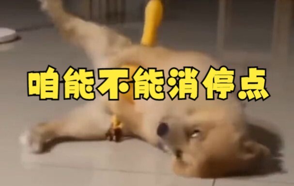 Screaming Chicken: I.....