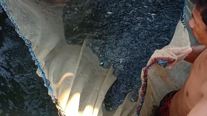 biyahing laguna de bay