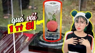10 Loại Trái Cây ĐẮT NHẤT Thế Giới Hiếm Ai Biết Được