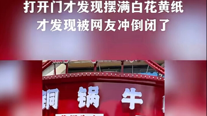 Quán lẩu đánh chó vàng ngồi hóng mát, mới khai trương chưa đầy một tuần đã nhận cả vạn bó hoa chúc m