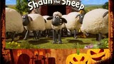 Shaun the sheep :All Seasons Episodes : Sheeo
