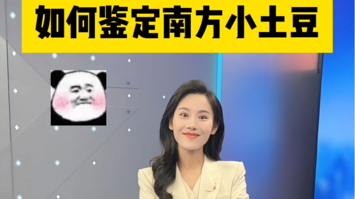 Istri pembawa acara versi “Kentang Kecil dari Selatan”… Perbedaannya terlalu mencolok…